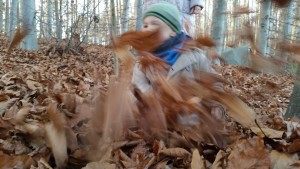 Oskar im Wald mit Blättern